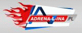 osk Adrenalina - prawo jazdy w Krakowie prawo jazdy Kraków - Adrenalina